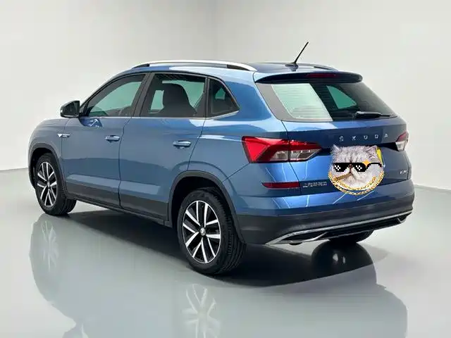 Skoda Kamiq 2019 — фото 15