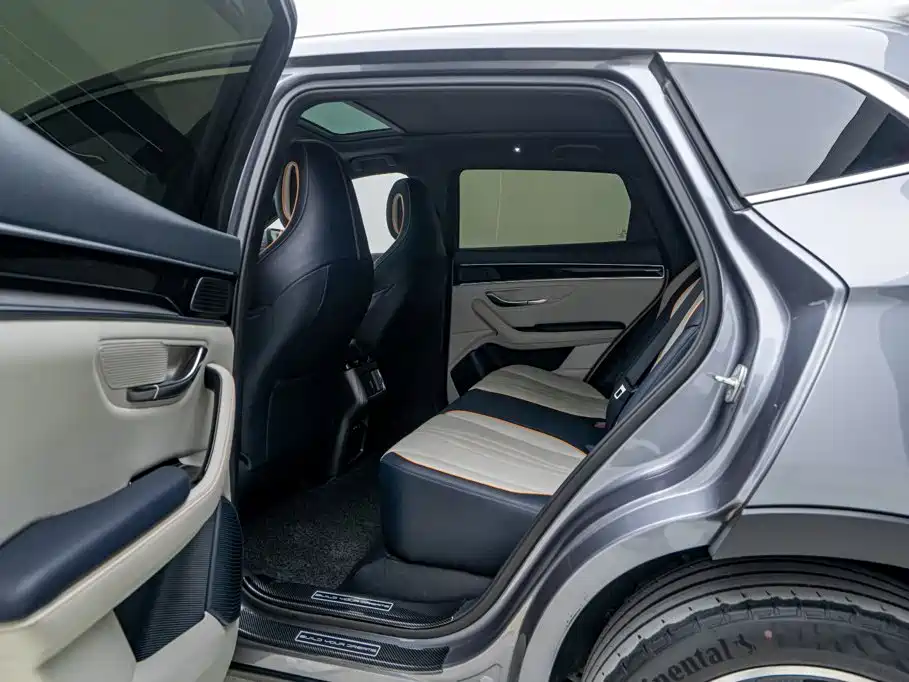 BYD Song PLUS New Energy 2024 — фото 15