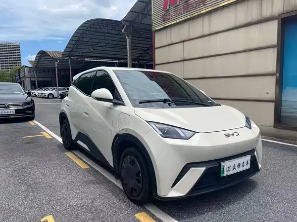BYD Seagull 2024