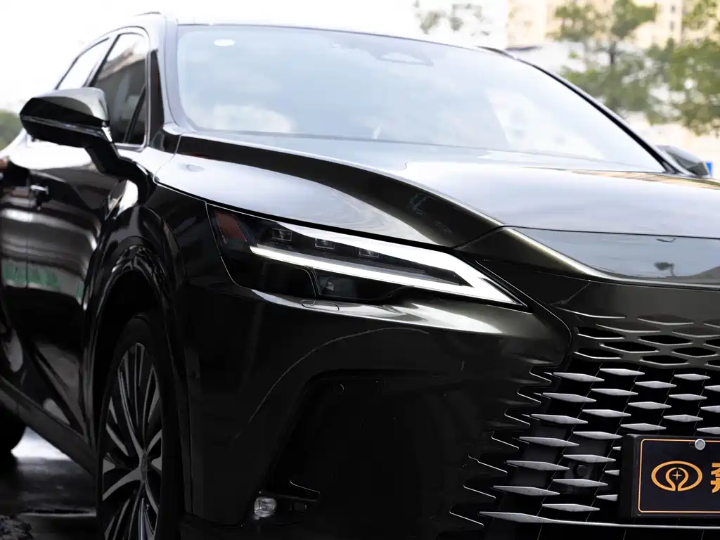 Lexus RX New Energy 2023 — фото 6