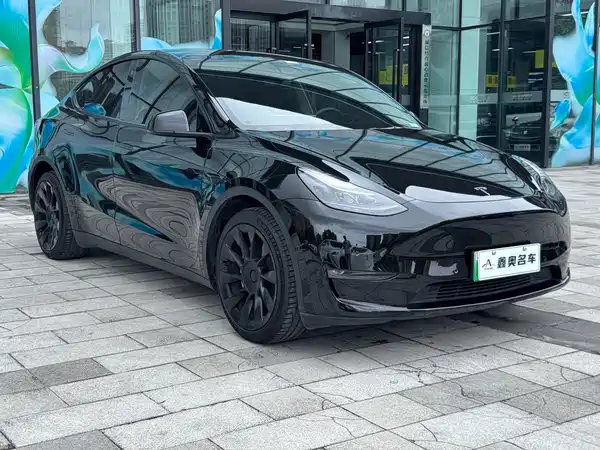 Tesla Model Y 2021