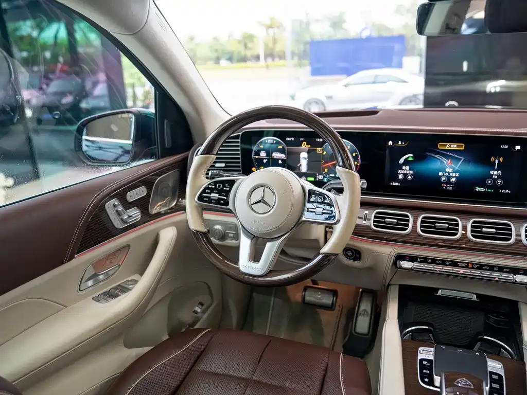 Mercedes-Benz Maybach GLS 2023 — фото 13