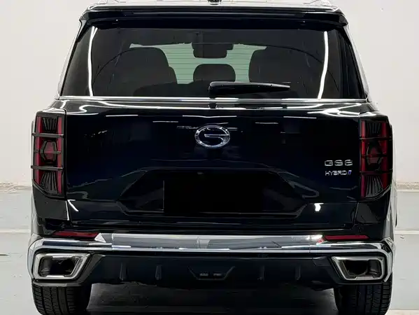 GAC Trumpchi GS8 2022