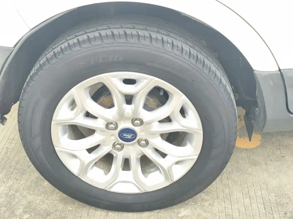 Ford Ecosport 2013 — фото 14