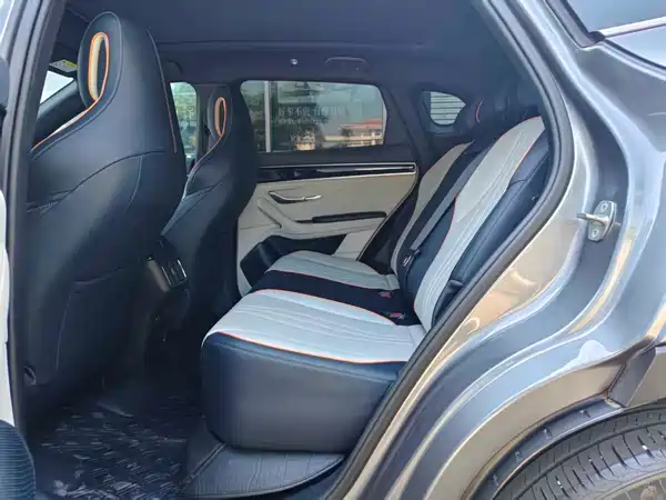 BYD Song PLUS New Energy 2021