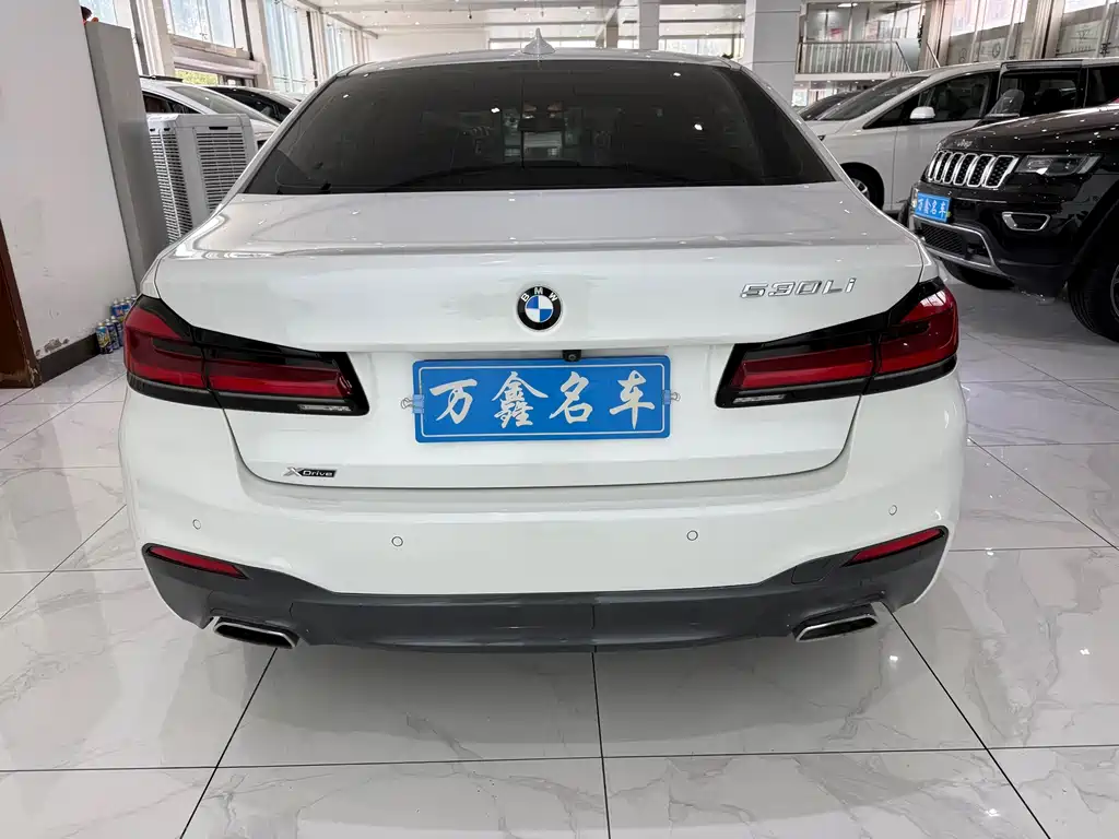 BMW 5 Series 2018 — фото 18