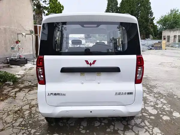 Wuling Zhiguang New Energy 2026