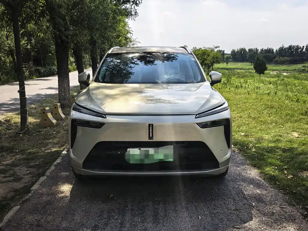 Wey Lanshan 2023