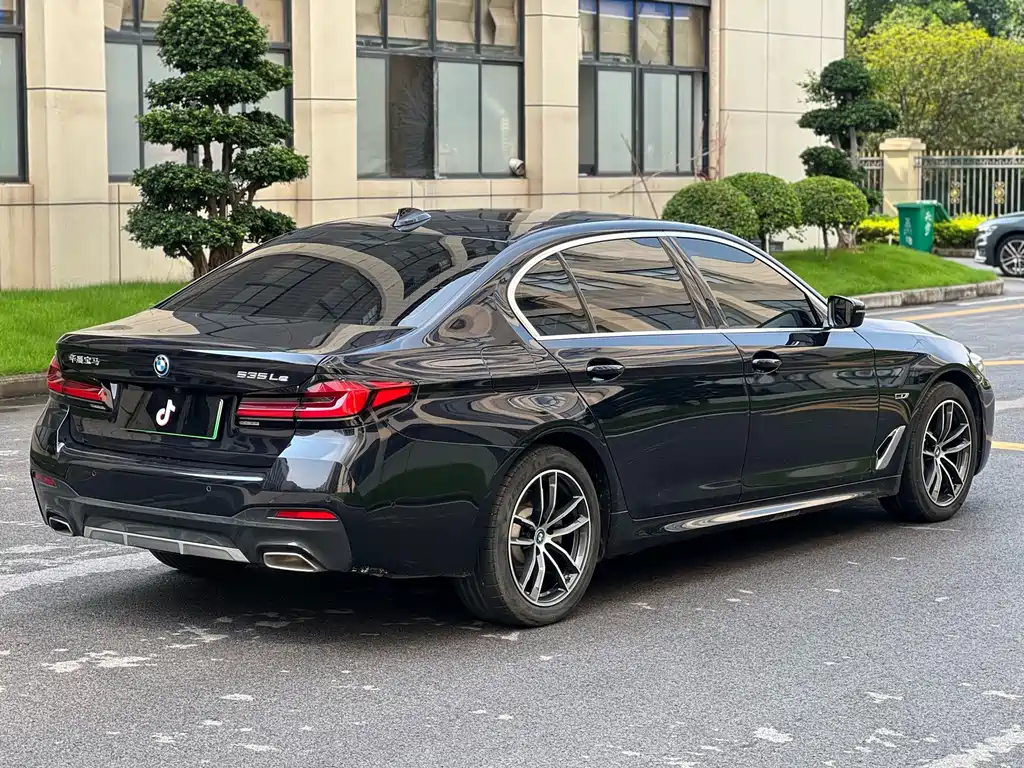 BMW 5 Series New Energy 2021