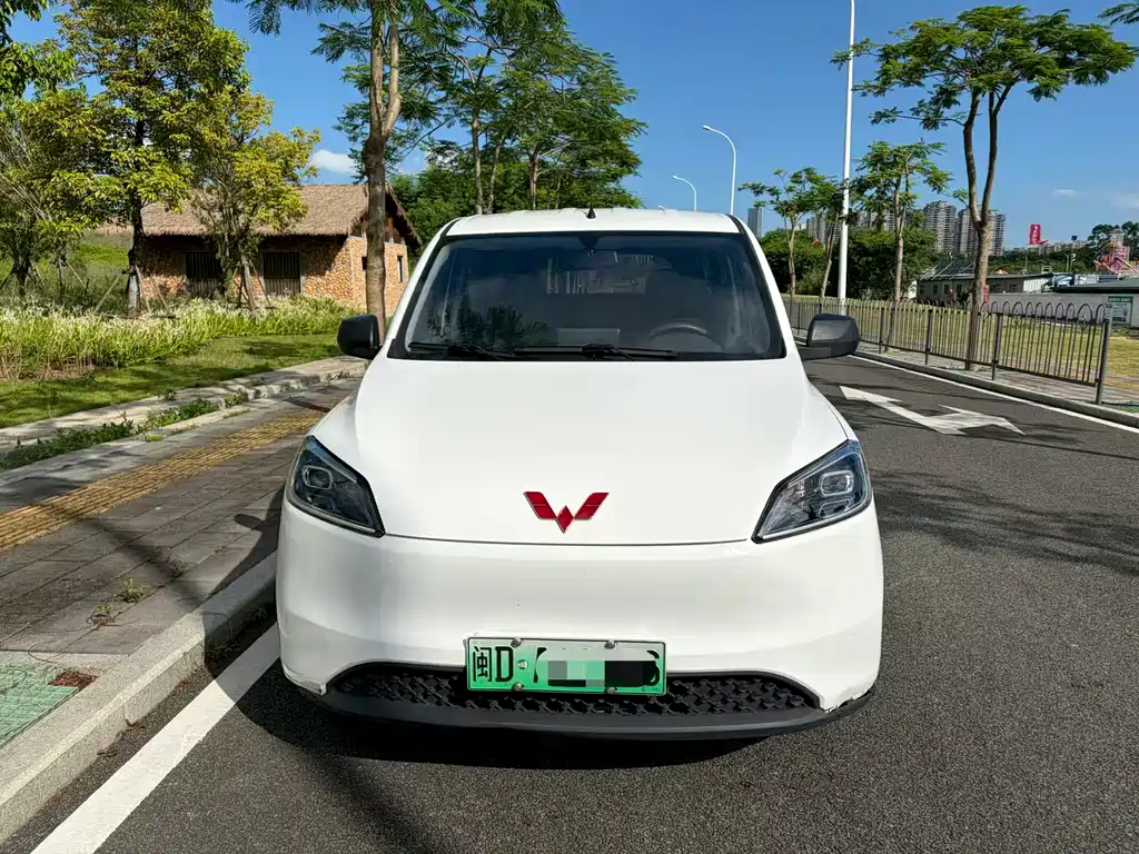 Wuling Hongguang New Energy 2024
