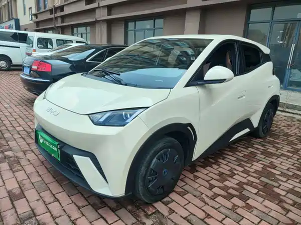 BYD Seagull 2024