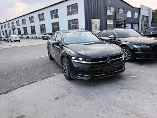 Volkswagen Magotan 2024