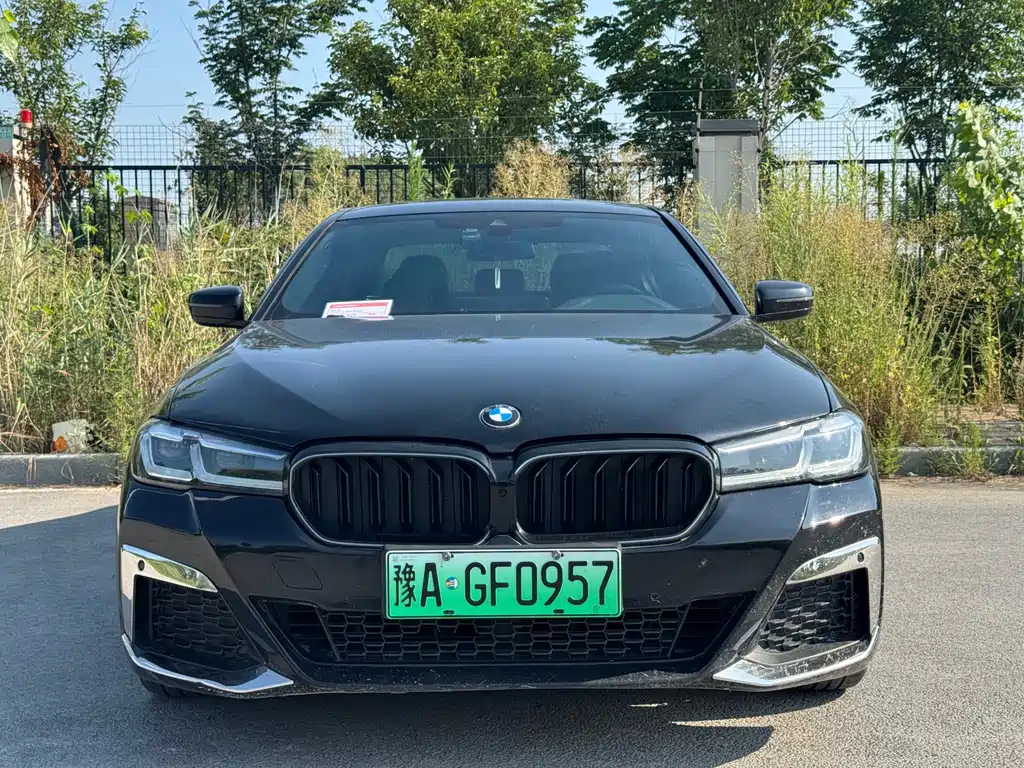 BMW 5 Series New Energy 2021