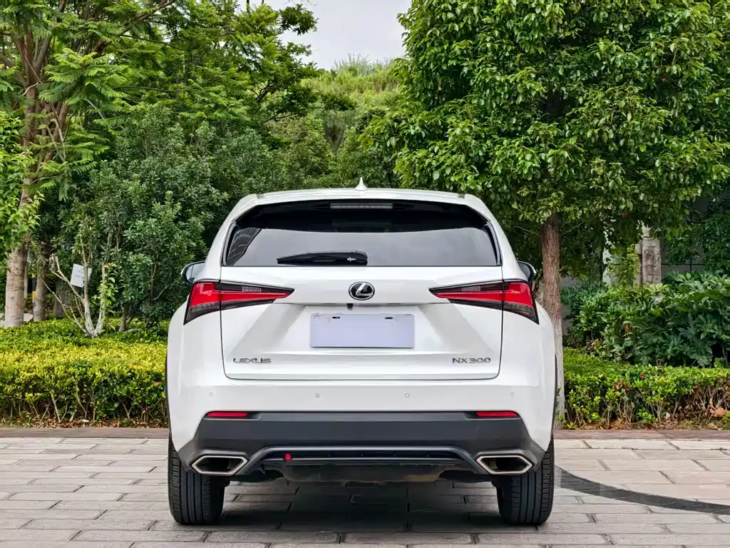 Lexus NX 2018 — фото 6