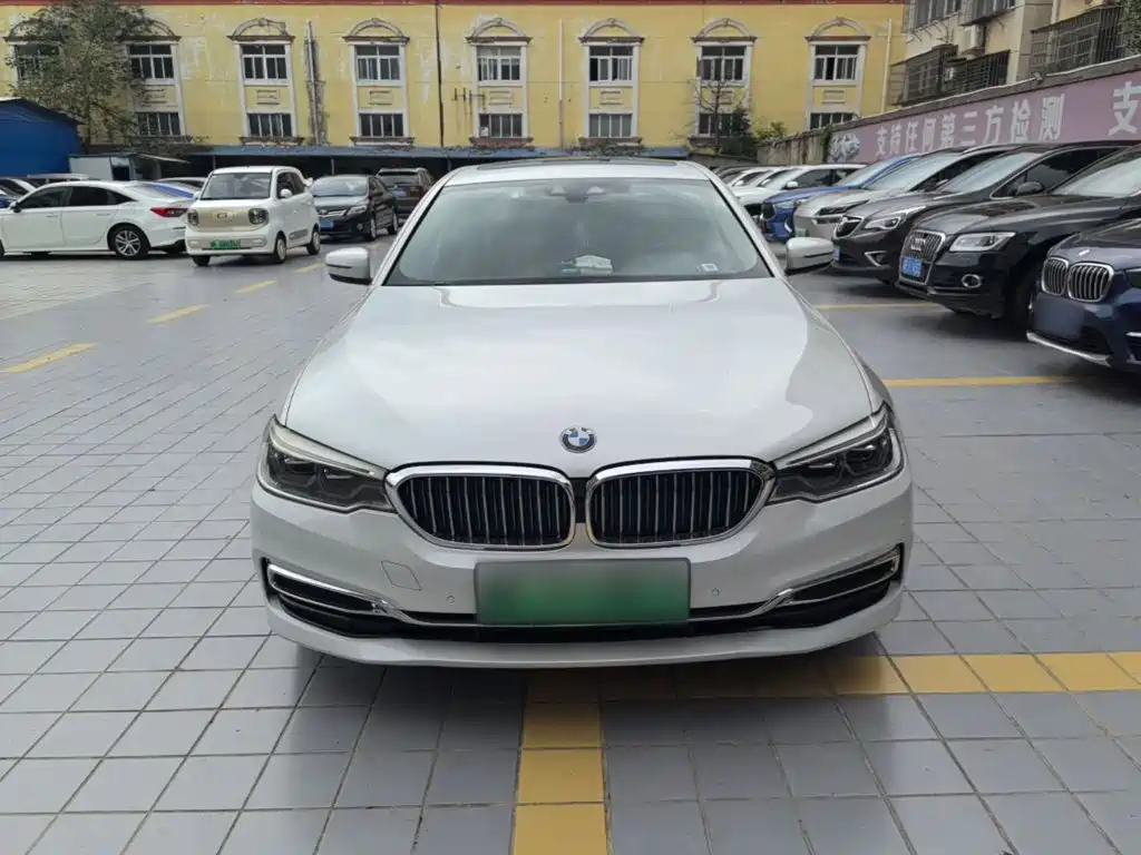 BMW 5 Series New Energy 2020