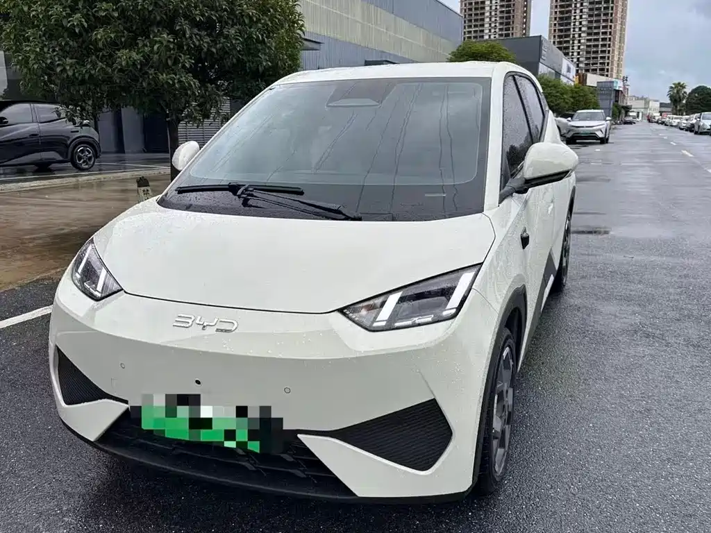 BYD Seagull 2026