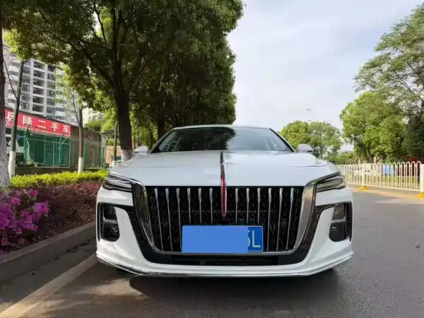 Hongqi H5 2024