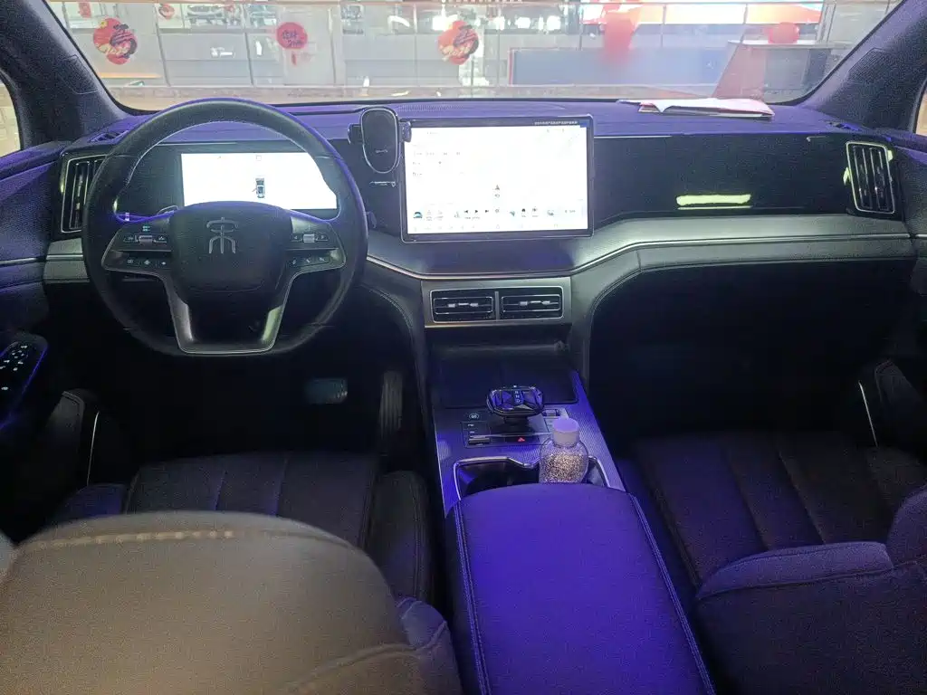 BYD L DM-i 2025 — фото 10