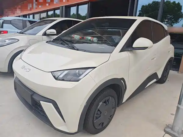 BYD Seagull 2024