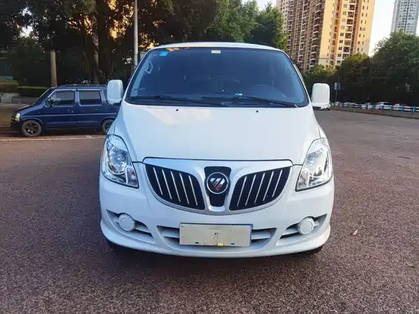 Futian Monpike E 2019
