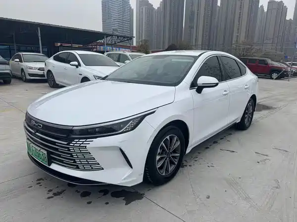BYD Destroyer 05 2024