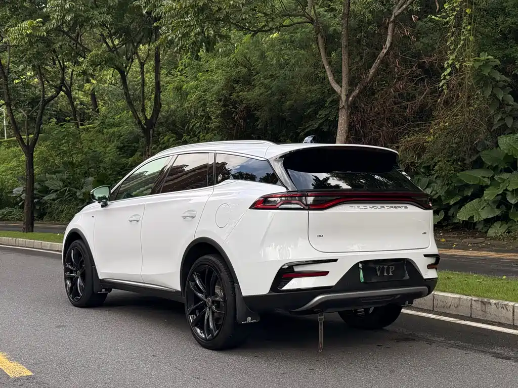 BYD Tang New Energy 2021 — фото 14