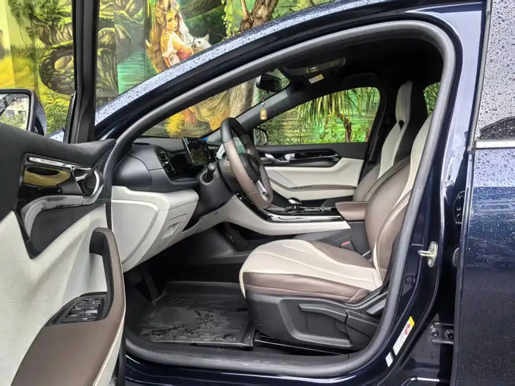 BYD Qin PLUS 2024 — фото 16