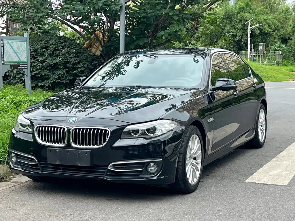 BMW 5 Series 2013