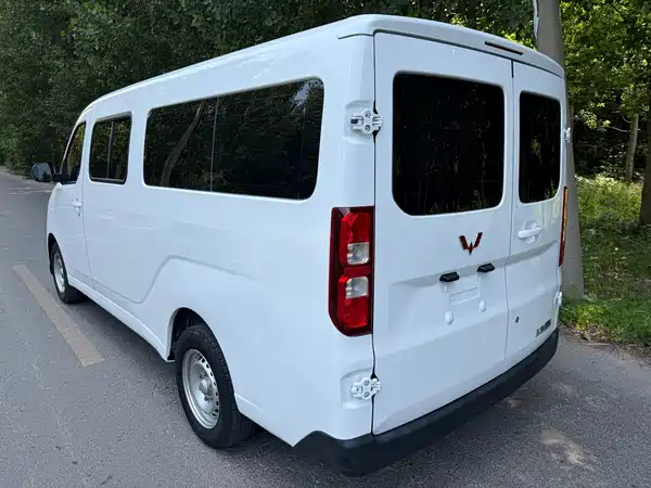 Wuling Yangguang 2024