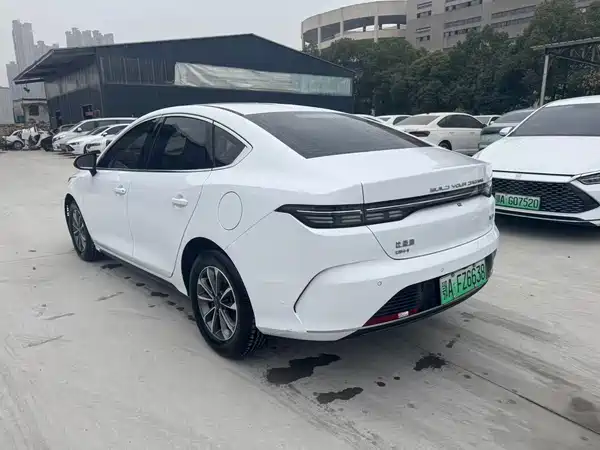 BYD Destroyer 05 2024