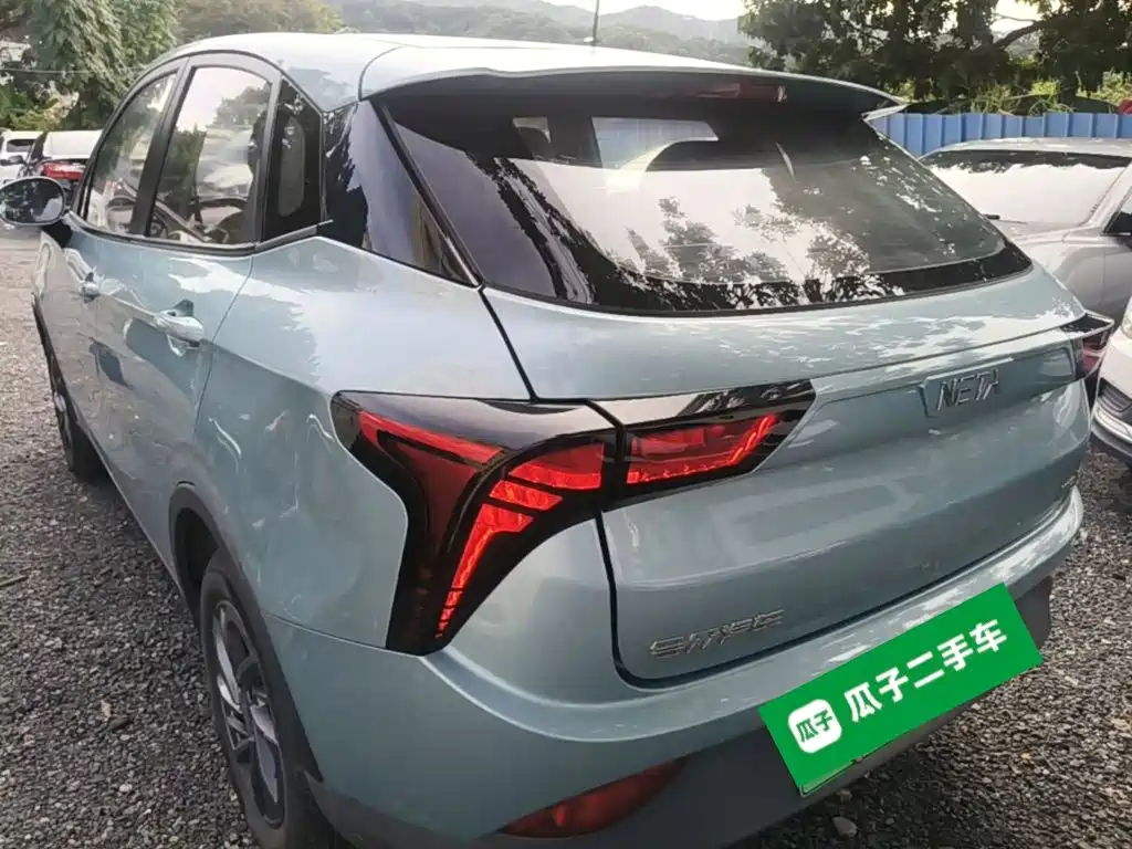 Neta V 2020