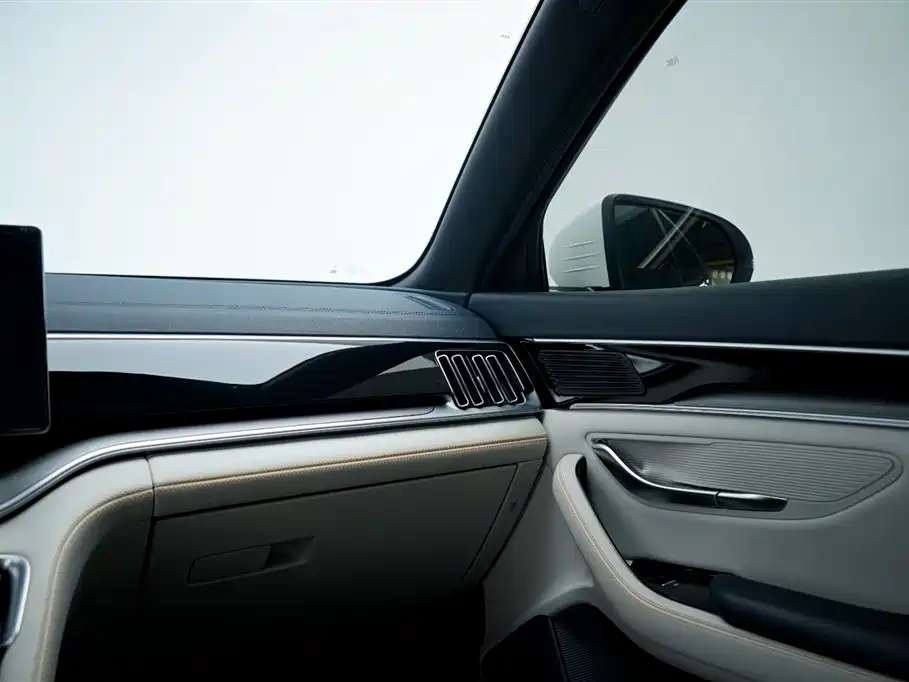 BYD PLUS New Energy 2023 — фото 23