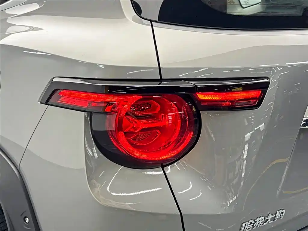 Haval Dargo PLUS 2024 — фото 10