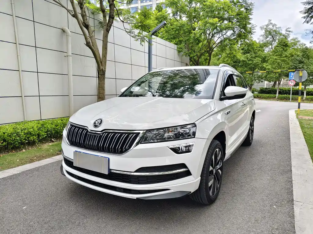 Skoda Karoq 2022 — фото 1
