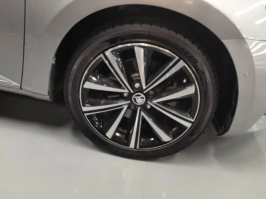 Skoda Speedy 2021