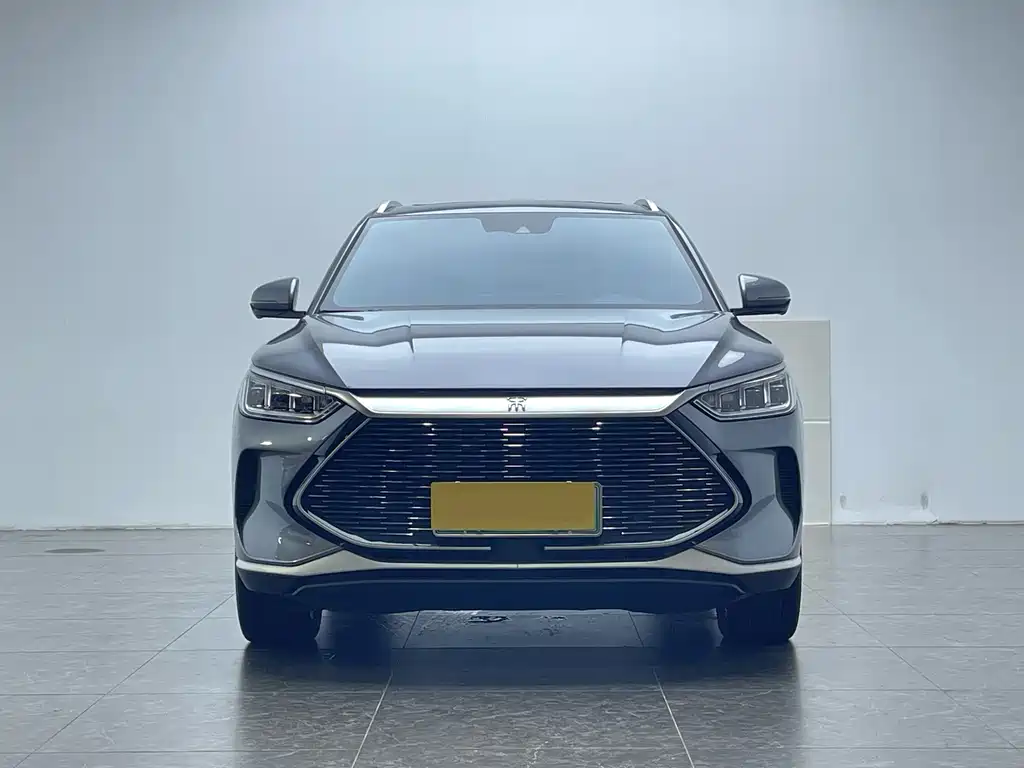 BYD PLUS New Energy 2023 — фото 2