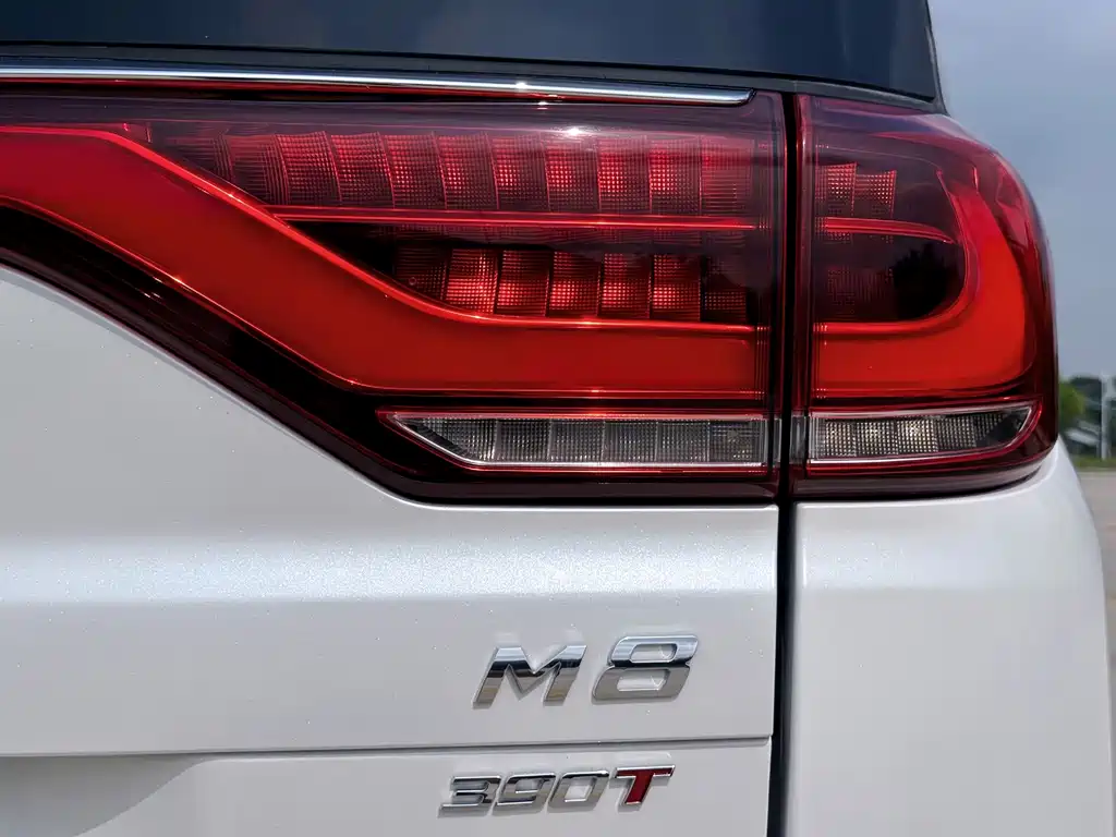 GAC Trumpchi M8 2022 — фото 16