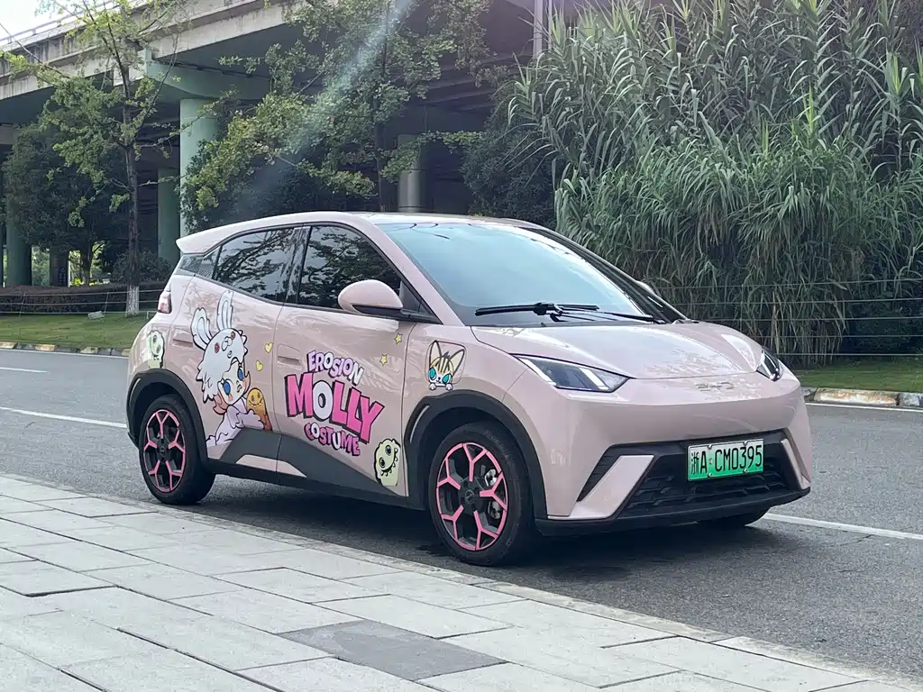 BYD Seagull 2024