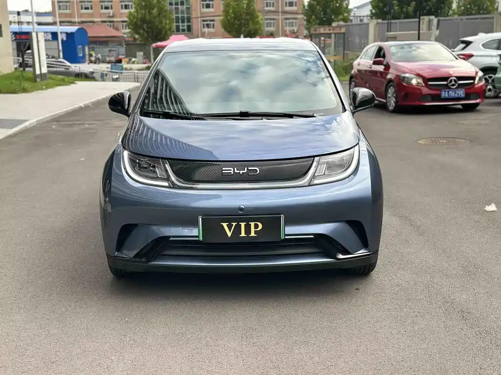 BYD Dolphin 2026