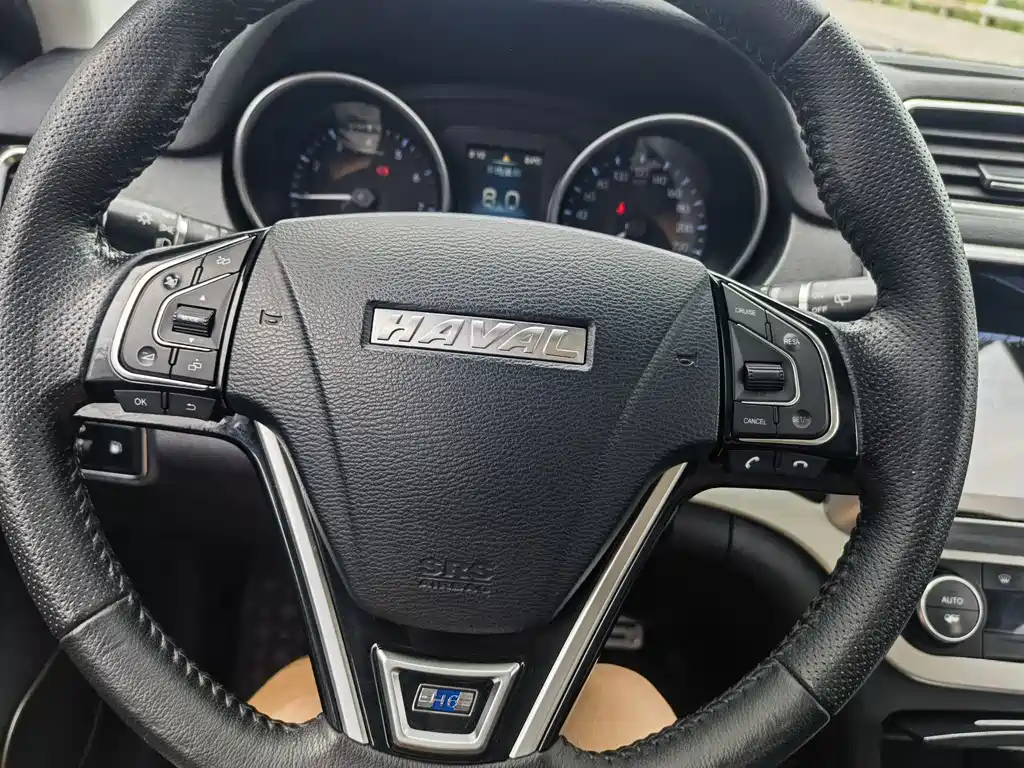 Haval H6 Coupe 2017 — фото 15