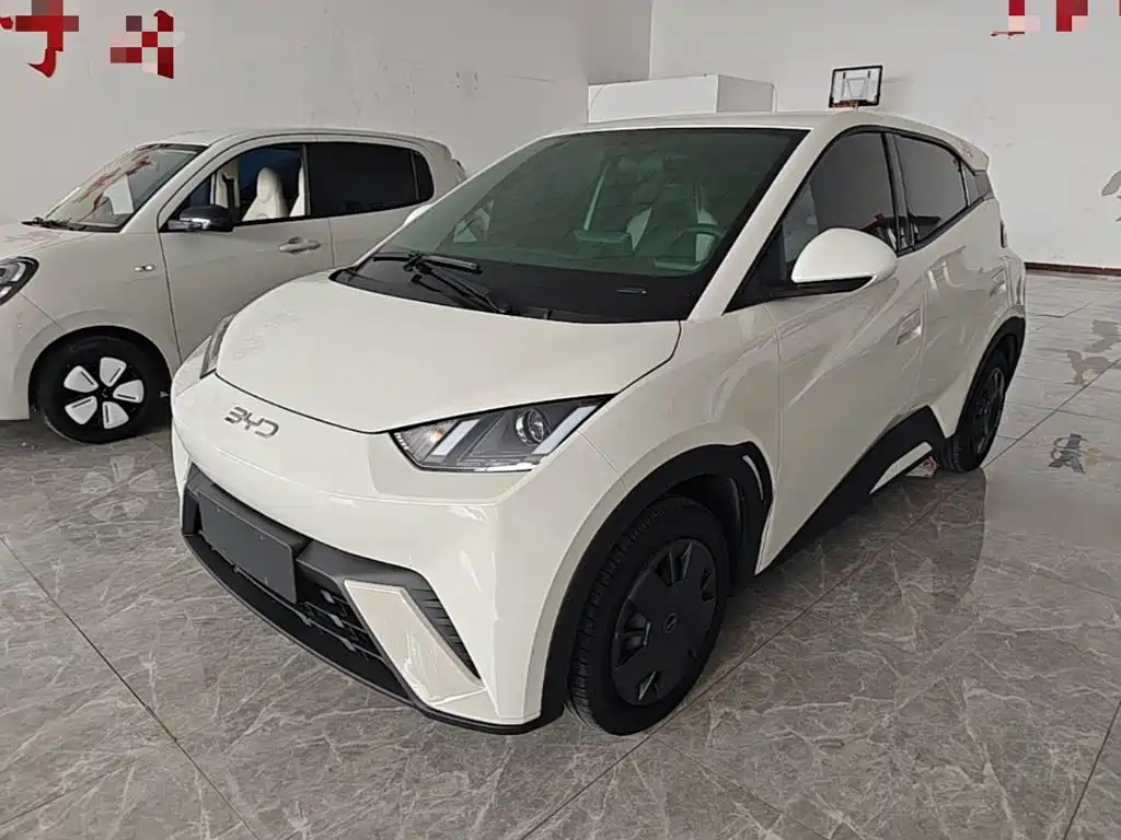 BYD Seagull 2024