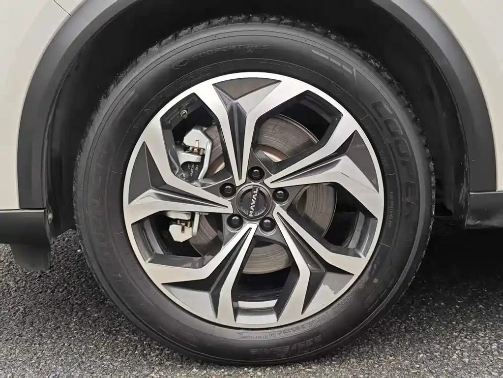 Haval H6 2023 — фото 14
