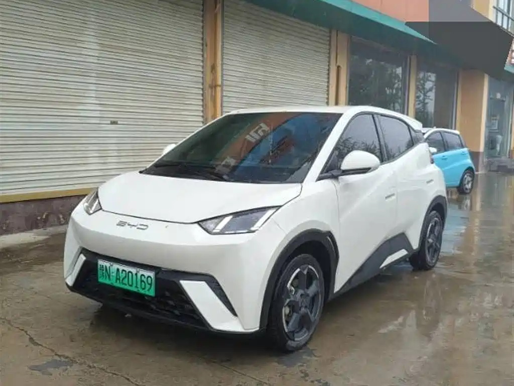 BYD Seagull 2024