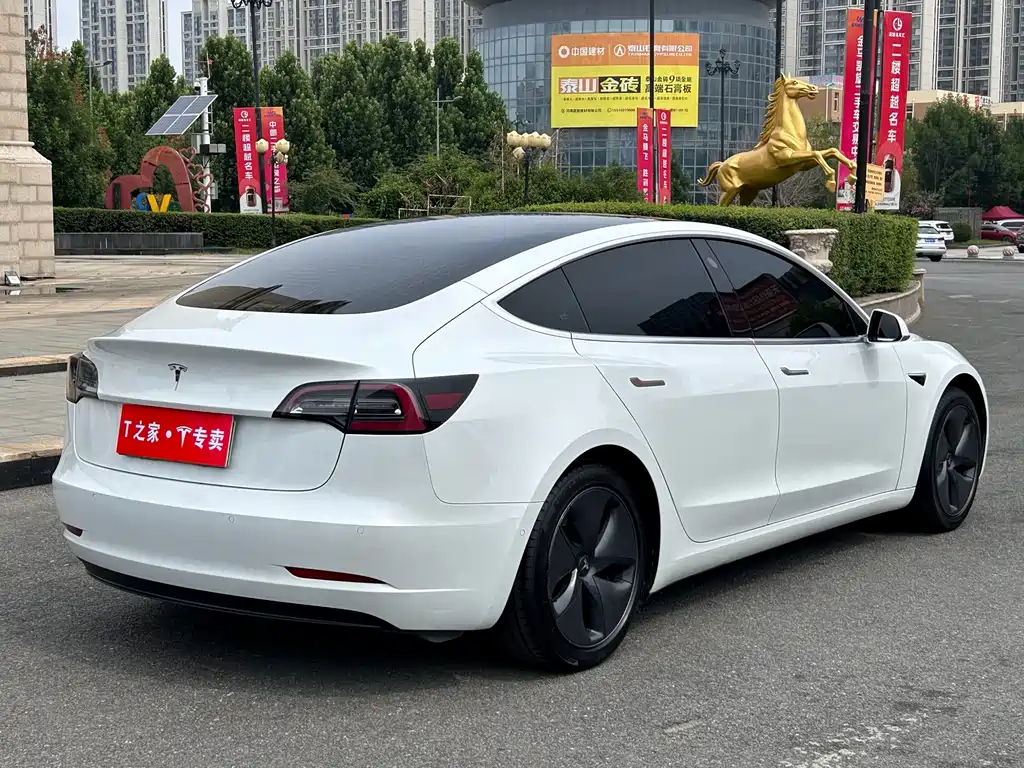 Tesla Model 3 2020 — фото 10