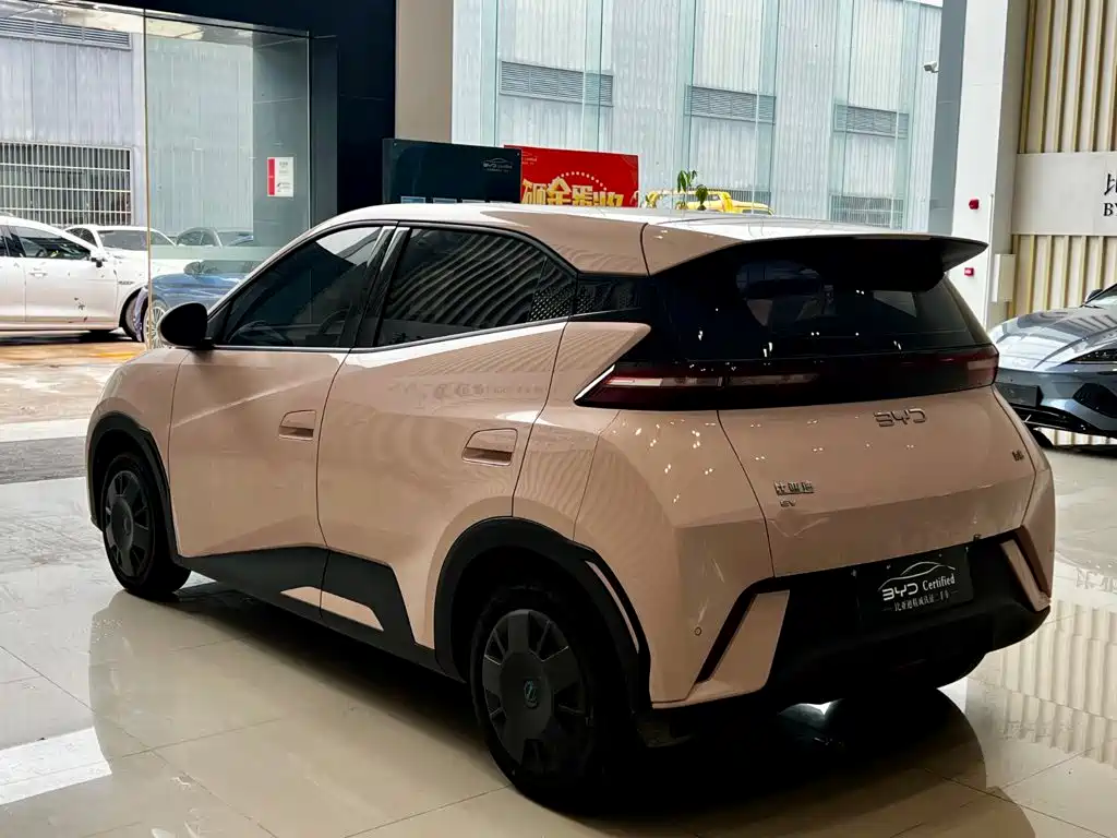 BYD Seagull 2024