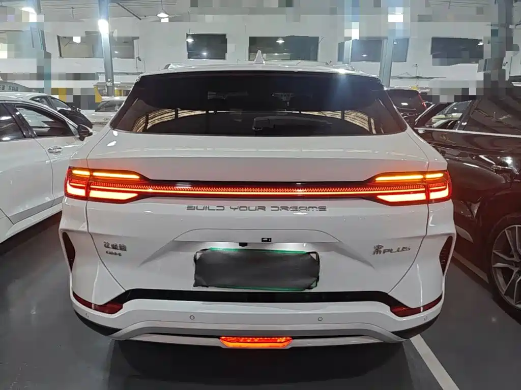 BYD PLUS New Energy 2024 — фото 6