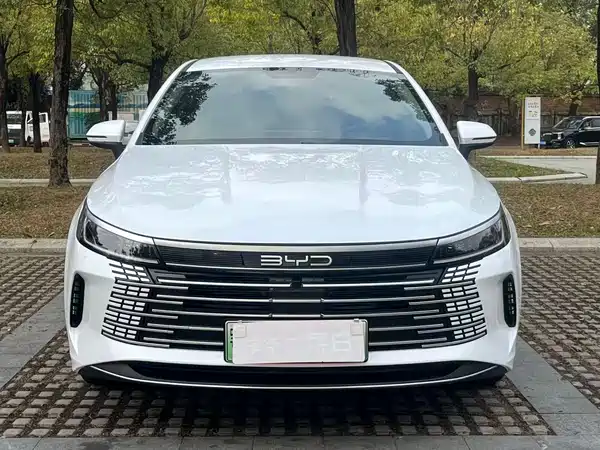 BYD Destroyer 05 2024