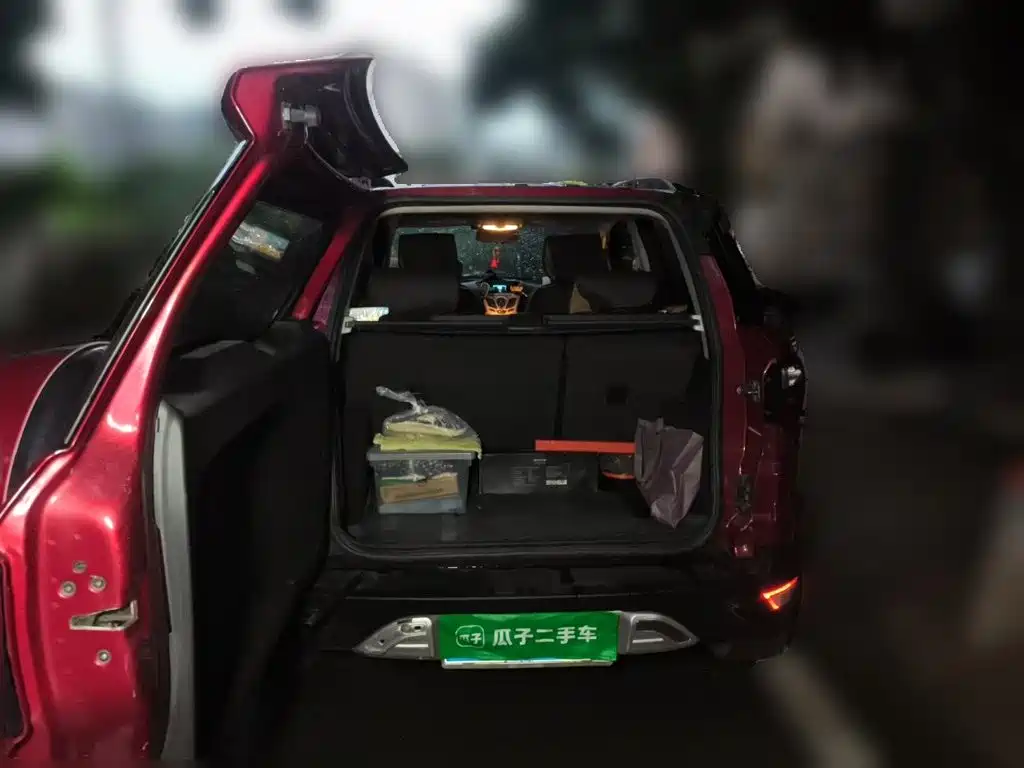 Ford EcoSport 2016 — фото 16