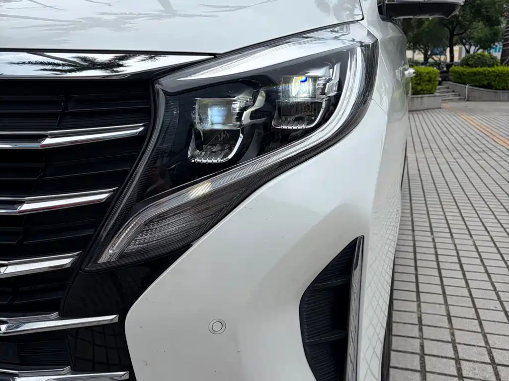 GAC Motor Trumpchi M8 2021 — фото 4