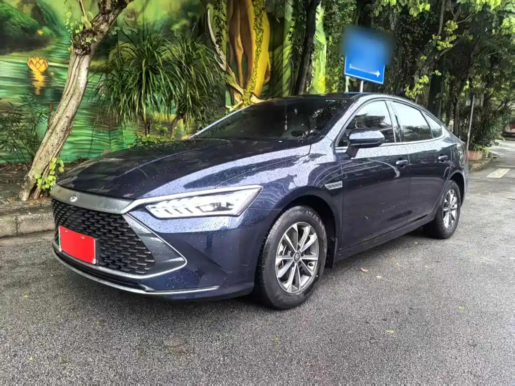 BYD Qin PLUS 2024
